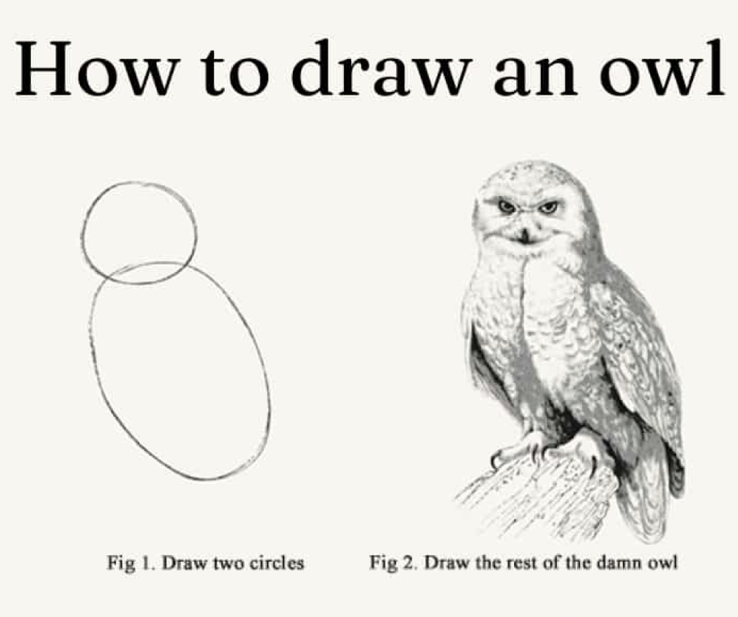 How to draw an owl: 1. Draw two circles, 2. Draw the rest of the damn owl.
