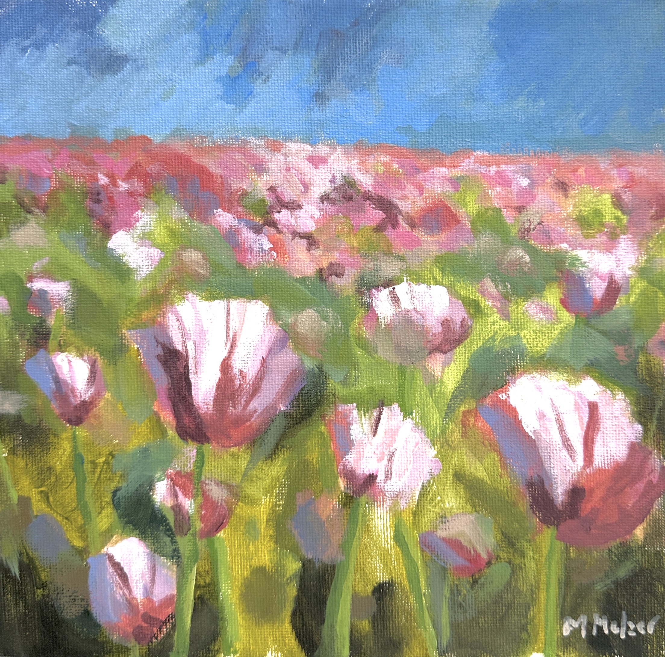 Tulpenwiese